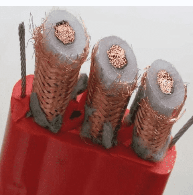 1649210015(1)_new 1649210015(1)_new